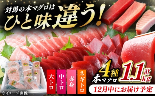 【12月中にお届け】対馬産 本マグロ 4種 計1.1kg（赤身/中トロ/大トロ/ネギトロ）《対馬市》【対海】[WAH028-12] 2276535 - 長崎県対馬市