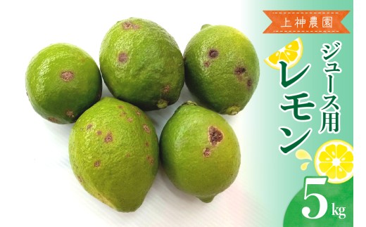 【2025年11月～発送】上神農園 ジュース用 レモン 約5kg ku011-042-25
