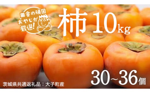 柿 10kg（30〜36個）【10月より発送開始】（茨城県共通返礼品 [柿]：大子町産） 柿 かき カキ 果物 フルーツ 茨城県産