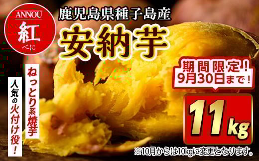 【期間限定】種子島産安納紅いも11kg 2277589 - 鹿児島県中種子町