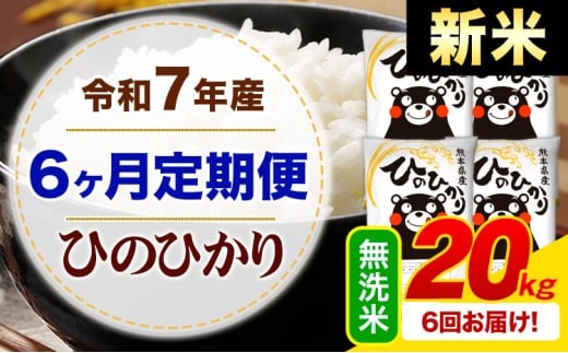 【6ヶ月定期便】新米 令和7年産 無洗米 ひのひかり 定期便 20kg《お申込み月の翌月から出荷開始》熊本県産 ふるさと納税 精米 ひの 米 こめ ふるさとのうぜい ヒノヒカリ コメ お米