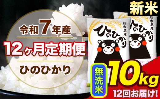 新米 令和7年産【12ヶ月定期便】ひのひかり 無洗米 10kg 5kg×2袋 計12回お届け 熊本県産 こめ コメ 白米 精米 荒尾市 ひの 米 定期 《お申込み月の翌月から出荷開始》