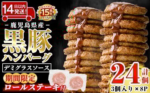 a1003 ＜期間限定ロールステーキ2個付き＞鹿児島県産黒豚ハンバーグ 計24個 (210g(3個入)×8P) 【AKR Food Company】姶良市 ハンバーグ デミグラスソース デミソース 国産 鹿児島県産 肉 豚 豚肉 かごしま黒豚さつま お弁当 惣菜 総菜 冷凍ハンバーグ おかず 温めるだけ 湯煎 簡単 冷凍 小分け