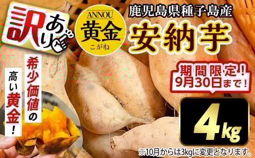 【期間限定】【訳あり】種子島産安納黄金いも4kg 2S～2L MIX 2277596 - 鹿児島県中種子町