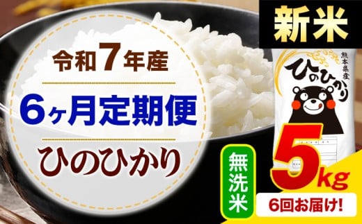 【6ヶ月定期便】新米 令和7年産 無洗米 ひのひかり 定期便 5kg《お申込み月の翌月から出荷開始》熊本県産 ふるさと納税 精米 ひの 米 こめ ふるさとのうぜい ヒノヒカリ コメ お米