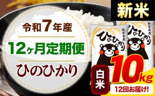 【12ヶ月定期便】新米 令和7年産 白米 ひのひかり 定期便 10kg《お申込み月の翌月から出荷開始》熊本県産 ふるさと納税 精米 ひの 米 こめ ふるさとのうぜい ヒノヒカリ コメ お米