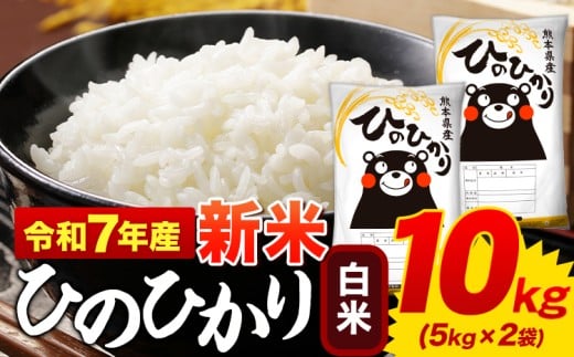 新米 令和7年産 ひのひかり 白米 10kg 《9月下旬-11月上旬頃出荷》 5kg×2袋 熊本県産 米 精米 ひの 御船町