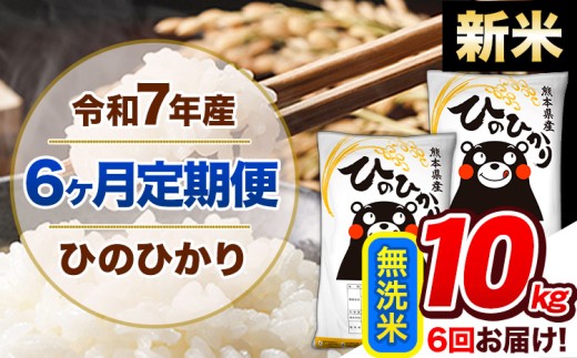【6ヶ月定期便】新米 令和7年産  定期便 無洗米 ひのひかり 10kg 《申込み翌月から発送》令和7年産 熊本県産 ふるさと納税 精米 ひの 米 こめ ふるさとのうぜい ヒノヒカリ コメ 熊本米 ひのもり