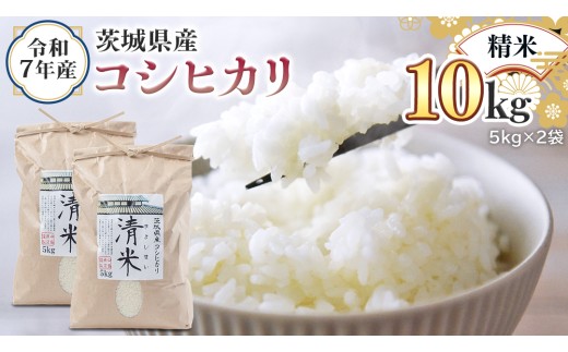 令和7年産 茨城県産 精米 コシヒカリ 10kg （5kg×2袋） 白米 清米 キヨシマイ こしひかり 米 コメ こめ 単一米 限定 茨城県産 国産 美味しい お米 おこめ おコメ