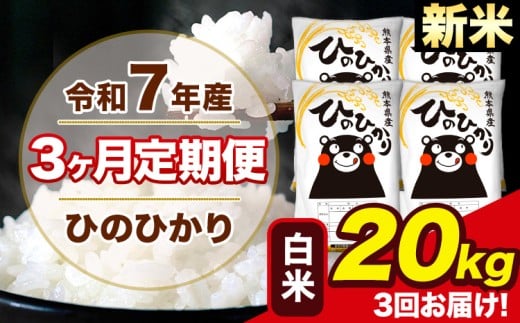 新米 令和7年産 【3ヶ月定期便】 ひのひかり 白米 20kg 4kg×4袋 計3回お届け 熊本県産 こめ コメ 白米 精米 荒尾市 ひの 米 定期 《お申込み月の翌月から出荷開始》