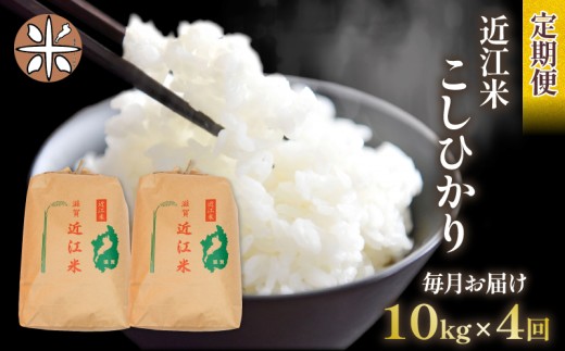 令和7年産 こしひかり 定期便 10kg 全4回 白米 5㎏ × 2袋 4ヶ月 近江米 コシヒカリ 国産 お米 米 おこめ ごはん ご飯 白飯 しろめし こめ ゴハン 御飯 滋賀県産 竜王 ふるさと ランキング 人気 おすすめ 1001766 - 滋賀県竜王町