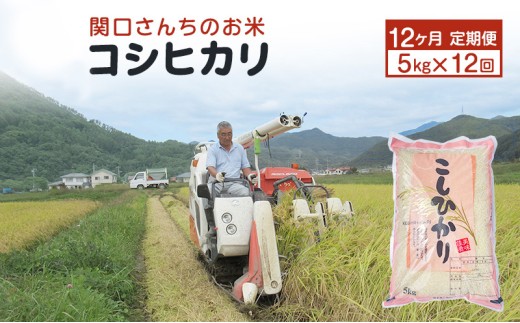 米 定期便 12ヶ月 関口さんちのお米 コシヒカリ 5kg お米 こめ コメ 精米 白米 ご飯 こしひかり 長野 信州 12回 お楽しみ [№5312-0929]