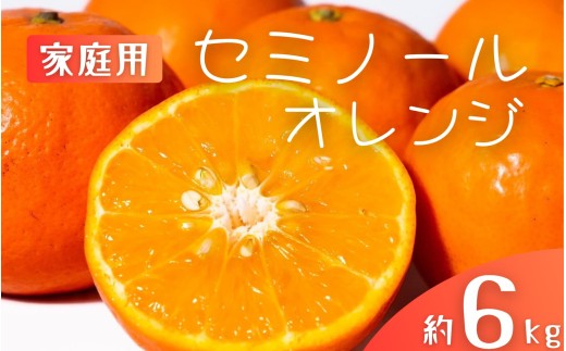 【先行予約】【ご家庭用】手選別 セミノールオレンジ 約6kg 和歌山県産 2S~2Lサイズ混合※2026年4月中旬～5月中旬頃に順次発送【mrmt036】 