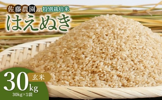【令和7年産】特別栽培米はえぬき 玄米 30kg(30kg×1袋)　山形県鶴岡市 佐藤農園 2276003 - 山形県鶴岡市