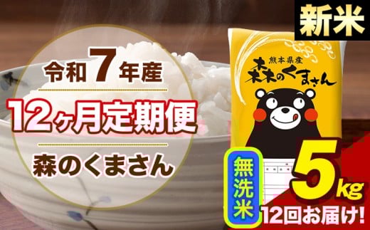 【12ヶ月定期便】令和7年産 新米 森のくまさん 無洗米 5kg 5kg×1袋 計12回お届け 《お申し込み月の翌月から出荷開始》 お米 こめ 熊本県産 ご飯 備蓄