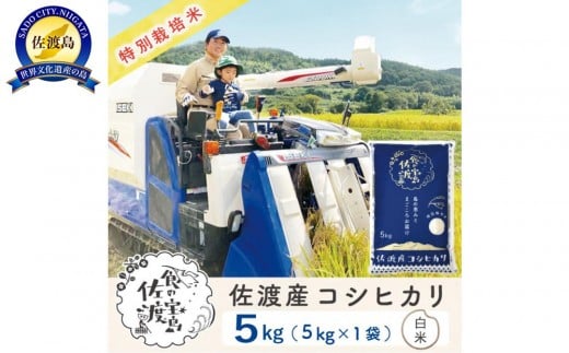 【新米予約】佐渡島産コシヒカリ 白米5kg 特別栽培米 農家直送 1058455 - 新潟県佐渡市