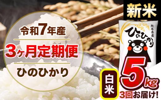 【3ヶ月定期便】新米 令和7年産  定期便 ひのひかり 5kg 《申込み翌月から発送》令和7年産 熊本県産 ふるさと納税 白米 精米 ひの 米 こめ ふるさとのうぜい ヒノヒカリ コメ 熊本米 