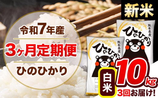 【3ヶ月定期便】新米 令和7年産  定期便 ひのひかり 10kg 《申込み翌月から発送》令和7年産 熊本県産 ふるさと納税 白米 精米 ひの 米 こめ ふるさとのうぜい ヒノヒカリ コメ 熊本米 ひのもり