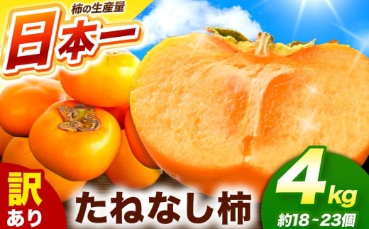 [令和7年発送 先行予約] 訳あり たねなし柿 約4kg ( 18〜23個 ) 大人気 | 種無し たねなし 柿 フルーツ 果物 くだもの カキ かき 農家直送 家庭用 フードロス 秋の味覚 旬 大小混合 奈良県 五條市 まろやか 食べやすい 種なし やさしい 甘さ 大容量 こだわり 産地直送 10月 秋 旬 自宅用 グルメ お取り寄せ 送料無料 高評価 わけあり 訳アリ 株式会社柳澤果樹園