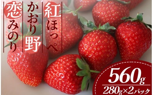 【2026年出荷分】特別賞受賞！ご自宅用いちご 280g以上 2パック　【 紅ほっぺ 恋みのり かおり野 いちご 果物 フルーツ 苺 イチゴ くだもの 静岡県産 期間限定 】　<A-2>