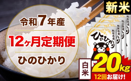 【12ヶ月定期便】新米 令和7年産 白米 20kg 米 ひのひかり《お申込み月の翌月から出荷開始》熊本県 菊池市 国産 熊本県産 白米 精米 無洗米 送料無料 ヒノヒカリ こめ お米 