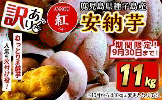 【期間限定】【訳あり】種子島産安納紅いも11kg 2S～2LMIX 2277592 - 鹿児島県中種子町