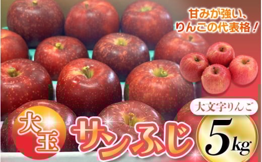 ≪12月末までの受付*無くなり次第終了≫【12月上旬より順次発送】大文字りんご（サンフジ) 大玉サイズ 約5kg (約10～12玉)  樹上完熟 りんご リンゴ 林檎 果物 くだもの フルーツ 甘い 旬 産地直送  ［dma513-sf-5D-big］