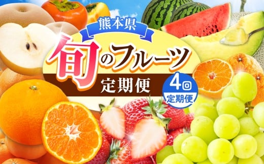 【定期便 4回】 旬のフルーツ 4か月連続定期便 4回コース | みかん いちご 河内晩柑 すいか メロン シャインマスカット 梨 柿 果物 フルーツ定期 フルーツ定期便 果物定期 定期便 フルーツ 果物 熊本県 玉名市