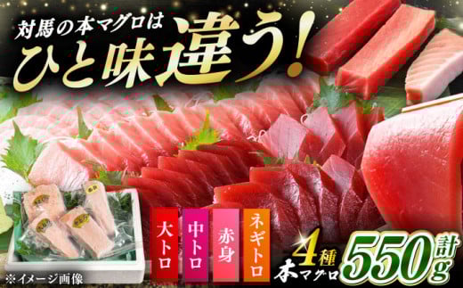 【通常配送】対馬産 本マグロ 4種 計550g（赤身/中トロ/大トロ/ネギトロ）《対馬市》【対海】[WAH003]  2276518 - 長崎県対馬市