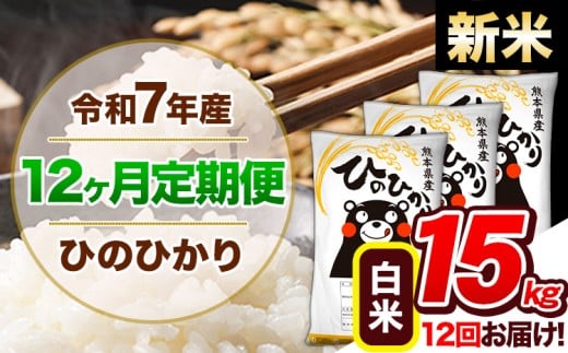 【12ヶ月定期便】新米 令和7年産 定期便 ひのひかり 15kg 《申込み翌月から発送》令和7年産 熊本県産 ふるさと納税 白米 精米 ひの 米 こめ ふるさとのうぜい ヒノヒカリ コメ 熊本米