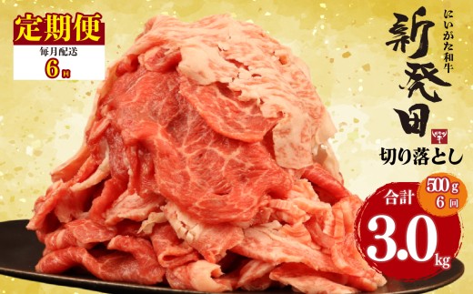 【定期便】 切り落とし 500g×6回 計3kg 新発田牛 黒毛和牛 霜降り 和牛 ブランド牛 国産 しゃぶしゃぶ 小間切れ 小分け 贈答 お歳暮 新潟 新発田 新潟県 新発田市 近江牛 神戸牛 松阪牛 米沢牛 三大和牛 に負けない アルビレックス アルビレックス新潟 えのもとミート enomoto027