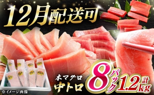 【12月配送可能】対馬産 養殖 本マグロ 中トロ 1.2kg(8パック)《対馬市》【対海】マグロ 鮪 まぐろ 本鮪 中とろ 中トロ 鮮魚 魚 海鮮 さしみ [WAH020]