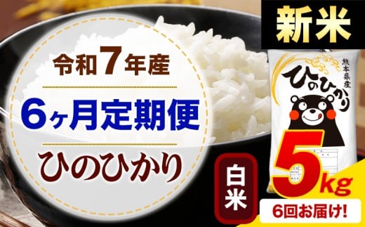 【6ヶ月定期便】新米 令和7年産 白米 ひのひかり 定期便 5kg《お申込み月の翌月から出荷開始》熊本県産 ふるさと納税 精米 ひの 米 こめ ふるさとのうぜい ヒノヒカリ コメ お米