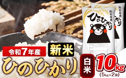 新米 令和7年産 白米 ひのひかり 10kg《9月下旬-11月上旬頃出荷》令和7年産 高レビュー 熊本県産 ふるさと納税 無洗米 白米 精米 ひの 米 こめ ふるさとのうぜい ヒノヒカリ コメ お米 おこめ