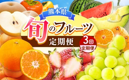 【定期便3回】 旬のフルーツ 3か月連続定期便 3回コース | みかん いちご 河内晩柑 すいか メロン シャインマスカット 梨 柿 果物 フルーツ定期便 フルーツ 果物 熊本県 玉名市
