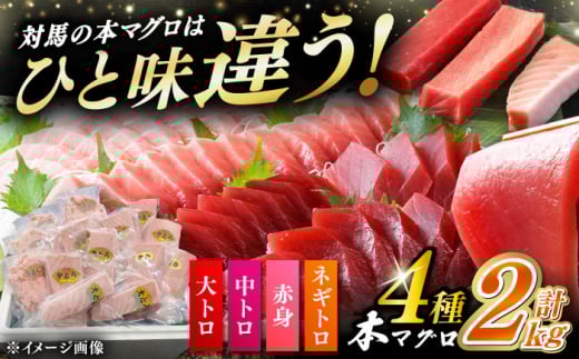 【通常配送】対馬産 本マグロ 4種 計2kg（赤身/中トロ/大トロ/ネギトロ）《対馬市》【対海】[WAH027]