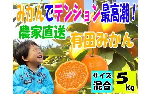 有田みかん5キロ　サイズ混合