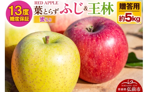 【25年12月発送】りんご 13度糖度保証【贈答用】蜜入り 葉とらずふじ＆王林 約5kg【レビューキャンペーン】