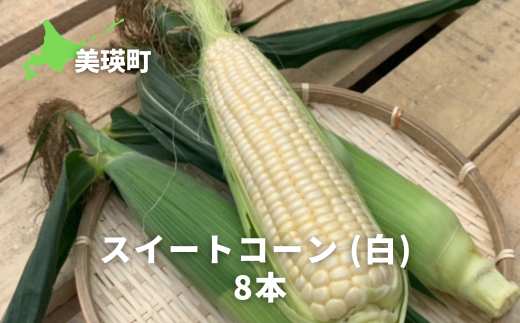 [先行予約]とうもろこし (白)8本 スイートコーン[令和8年産 ]サスケの家 [013-95]