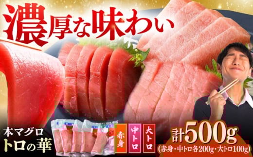 【通常配送】対馬産 本マグロ 500g（赤身200g、中トロ200g、大トロ100g）≪対馬市≫【桐谷商店】[WAQ055] 2276550 - 長崎県対馬市