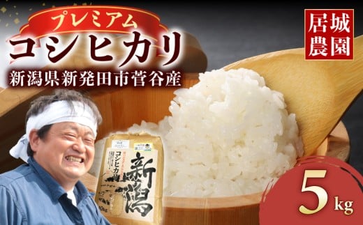 【2026年2月発送】プレミアム コシヒカリ 5kg 令和7年産 特別栽培米 こしひかり プレミアムコシヒカリ  精米 白米 ご飯 おにぎり 弁当 新潟県産 新発田産 菅谷産 新潟 米 お米 こめ 居城農園 菅谷 新潟県 米 新潟県 新発田市 D78_202602