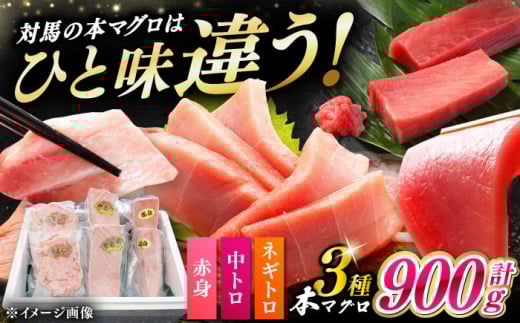【通常配送】対馬産 本マグロ 3種 計900g（赤身/中トロ/ネギトロ）《対馬市》【対海】[WAH029] 2276536 - 長崎県対馬市