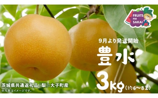 豊水 梨 3kg （6〜8玉）【2025年9月より発送開始】（茨城県共通返礼品 [梨]：大子町産） なし 旬 お取り寄せ フルーツ 甘い ジューシー 和梨 時期