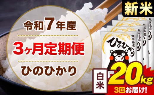 【3ヶ月定期便】新米 令和7年産 白米 20kg 米 ひのひかり《お申込み月の翌月から出荷開始》熊本県 菊池市 国産 熊本県産 白米 精米 無洗米 送料無料 ヒノヒカリ こめ お米 