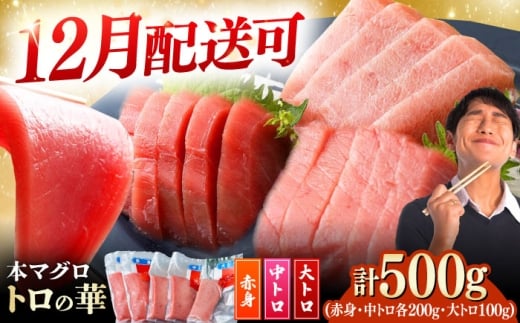 【12月配送可能】対馬産 本マグロ 500g（赤身200g、中トロ200g、大トロ100g）≪対馬市≫【桐谷商店】 トロの華 対馬 新鮮 マグロ 大トロ 鮪 刺身 鮮度抜群 [WAQ055]