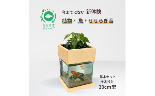 せせらぎビオトープ　20cm型基本+木枠台セット