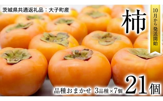 柿　3品種 食べ比べ 各7個ずつ【10月中旬より発送開始】（茨城県共通返礼品 [柿]：大子町産） 果物 フルーツ 茨城県産