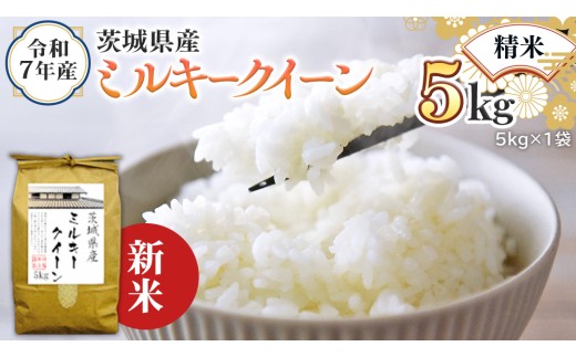 ＜ 新米 ＞ 令和7年産 茨城県産 精米 ミルキークイーン 5kg （5kg×1袋） 白米 米 コメ こめ 単一米 限定 茨城県産 国産 美味しい お米 おこめ おコメ