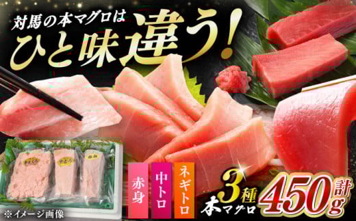 【通常配送】対馬産 本マグロ 3種 計450g（赤身/中トロ/ネギトロ）《対馬市》【対海】[WAH002]  2276516 - 長崎県対馬市