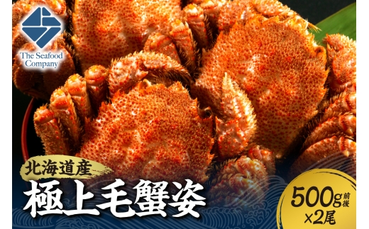 極上毛蟹姿　500g前後×2尾セット